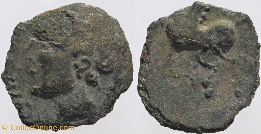 Arvernes - Bronze ADCANAVNOS monnaies antiquite jc ap celtes arvernes bronze adcanavnos