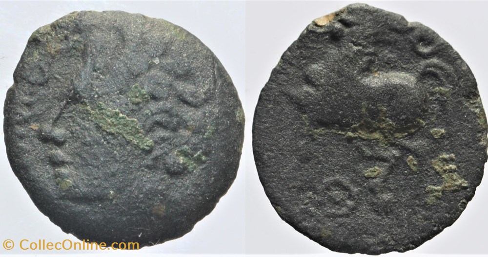 Arvernes - Bronze ADCANAVNOS monnaies antiquite jc ap celtes arvernes bronze adcanavnos