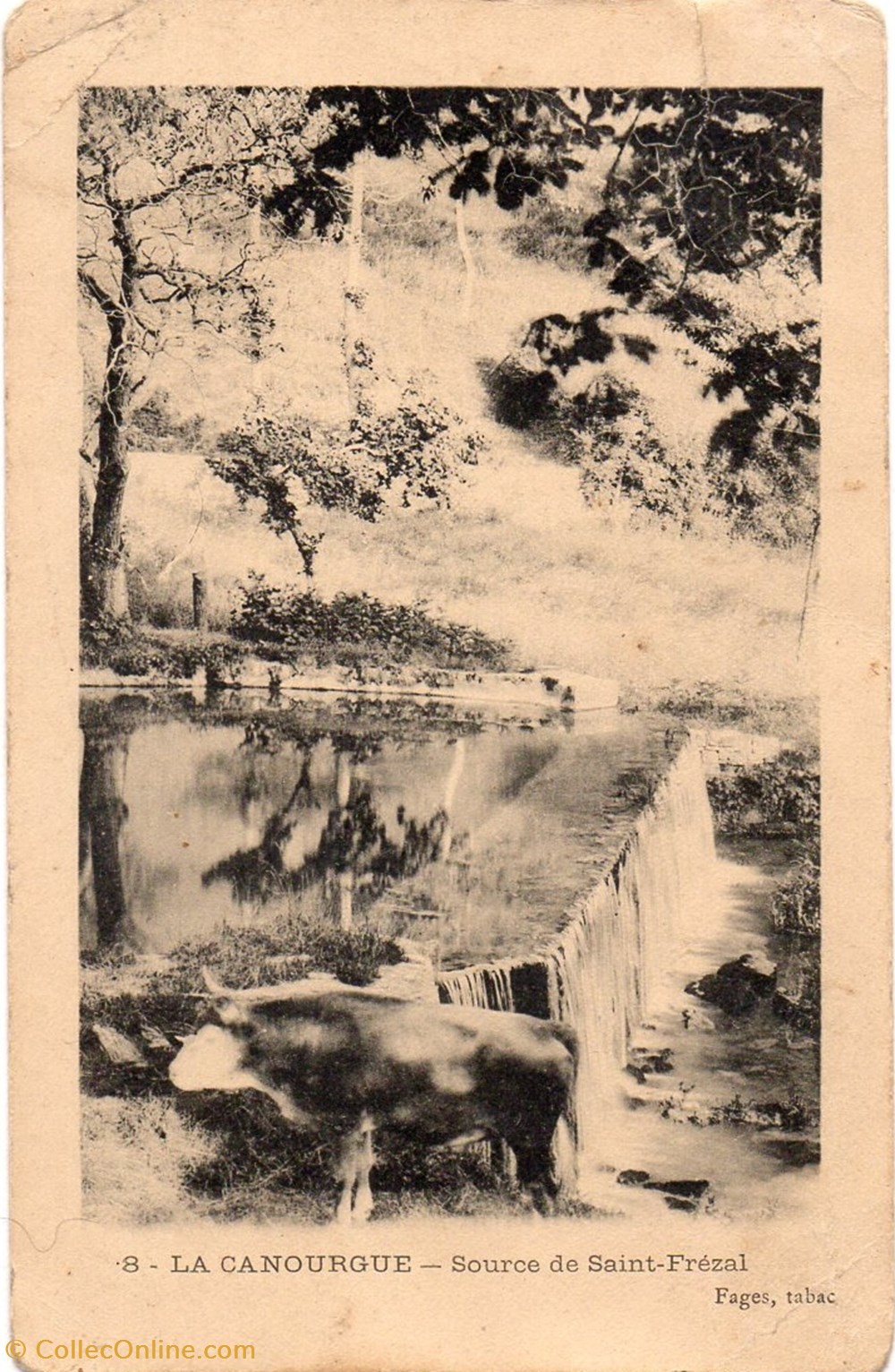 C08 - 08 - Source de Saint-Frézal cartes postales europe france c08 08 source de saint frezal