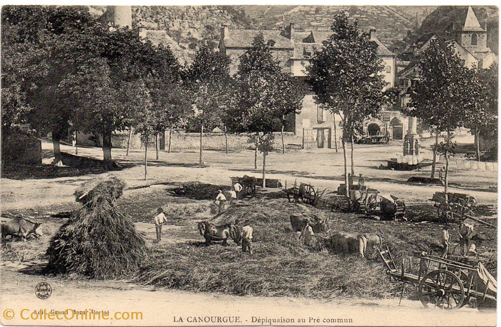 C07 - Dépiquaison au Pré commun cartes postales europe france c07 depiquaison au pre commun