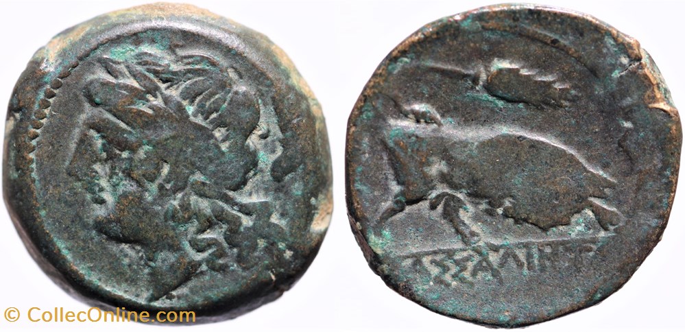 monnaies antiques av jc ap celtes massalia grand bronze