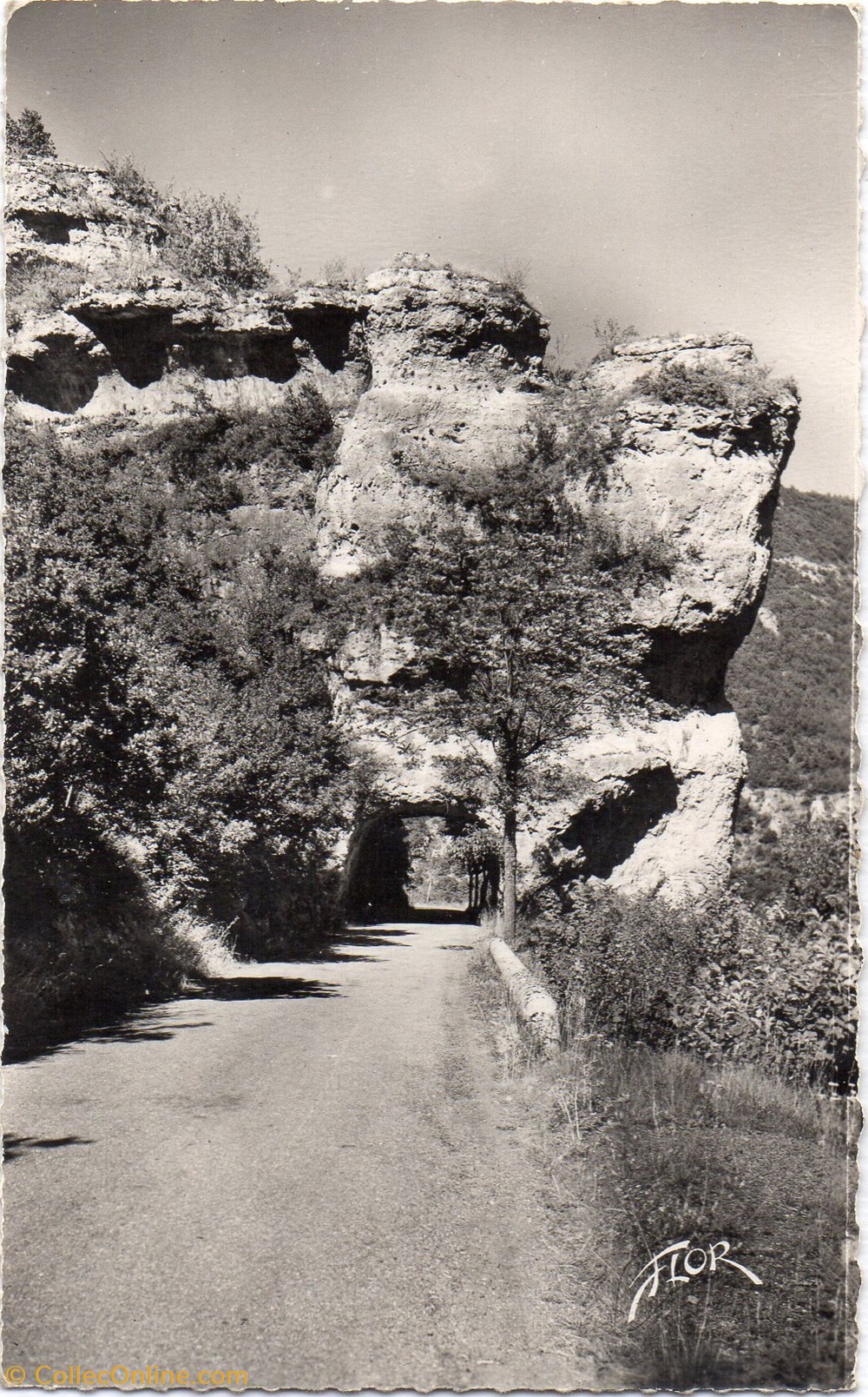 cartes postales europe france c28 9777 gorges du tarn