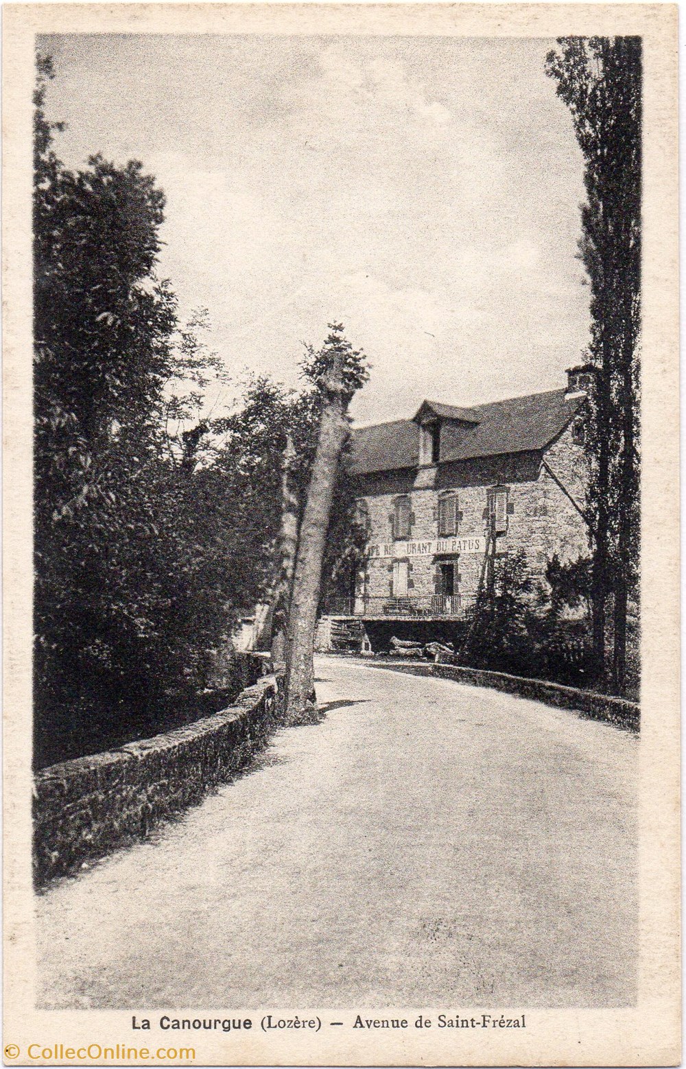 cartes postales europe france c02 avenue de saint frezal