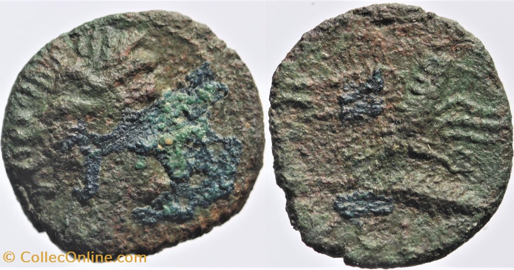 monnaies antiques av jc ap celtes volques arecomiques bronze a aigle