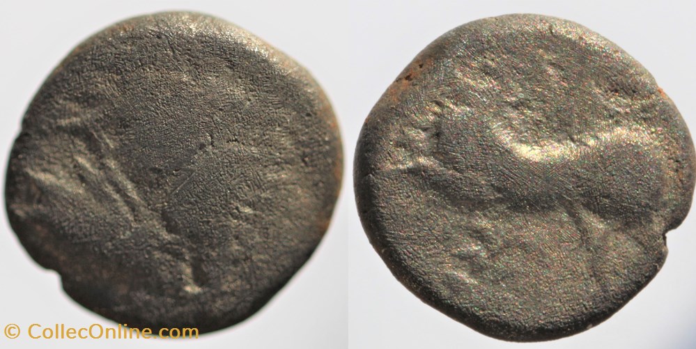 Gabales - Drachme au fleuron monnaies antiques celtes gabales drachme au fleuron