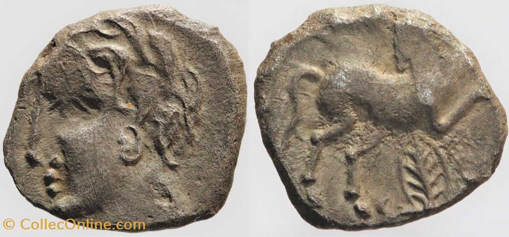 Arvernes - Drachme à la palme monnaies antiques av jc ap celtes arvernes drachme a la palme