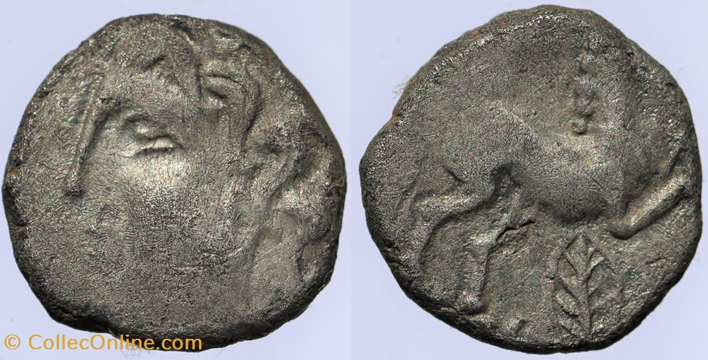 Arvernes - Drachme à la palme monnaies antiques av jc ap celtes arvernes drachme a la palme