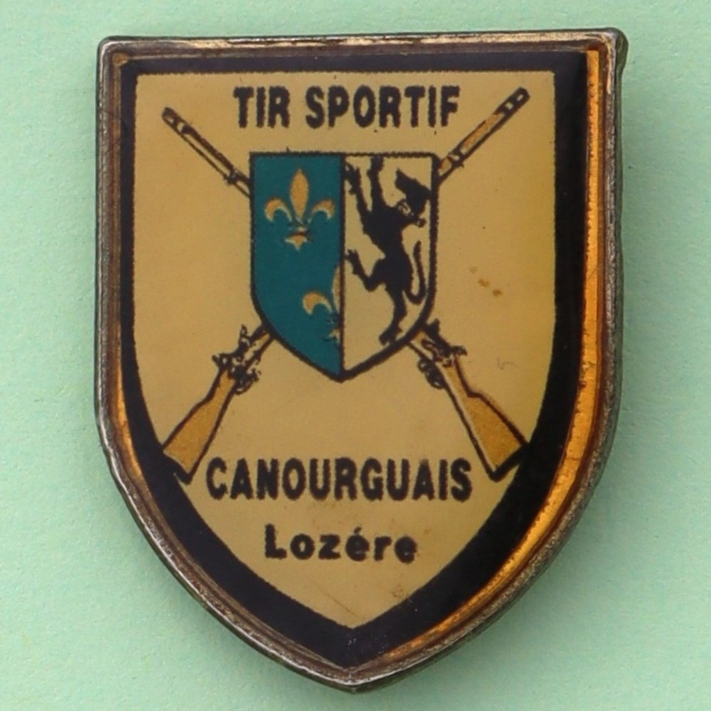 divers badges pin s du t s c