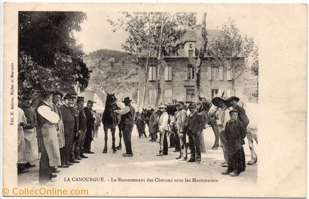 cartes postales europe france c04 le recensement des chevaux