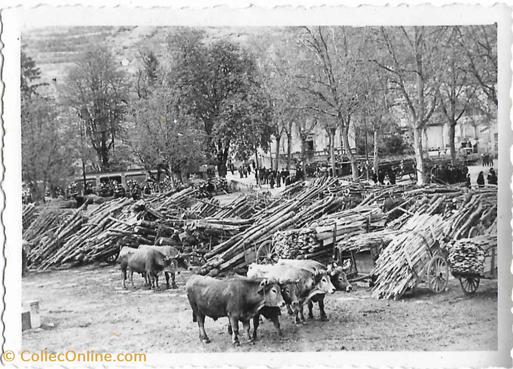 photographies journee des prisonniers 10 mai 1944