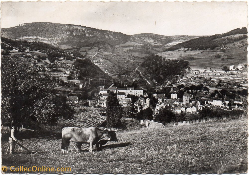cartes postales europe france c13 53 le labour en lozere
