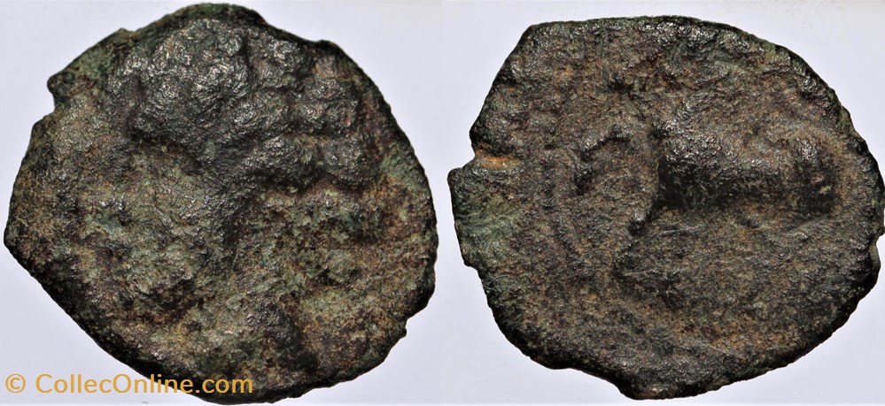 Arvernes - Bronze du type ADCANAVNOS monnaies antiquite jc ap celtes arvernes bronze du type adcanavnos