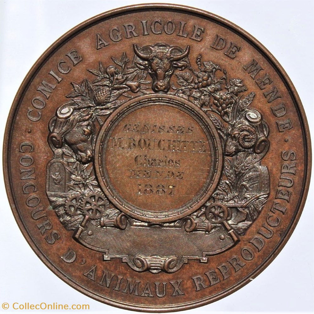 medailles france 1887 animaux reproducteurs genisse