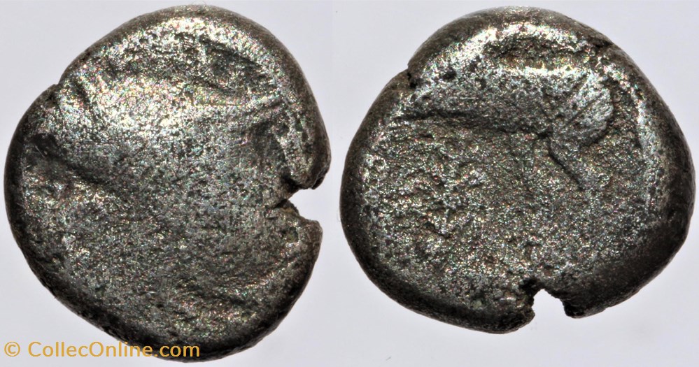 Gabales - Drachme au fleuron monnaies antiques av jc ap celtes gabales drachme au fleuron