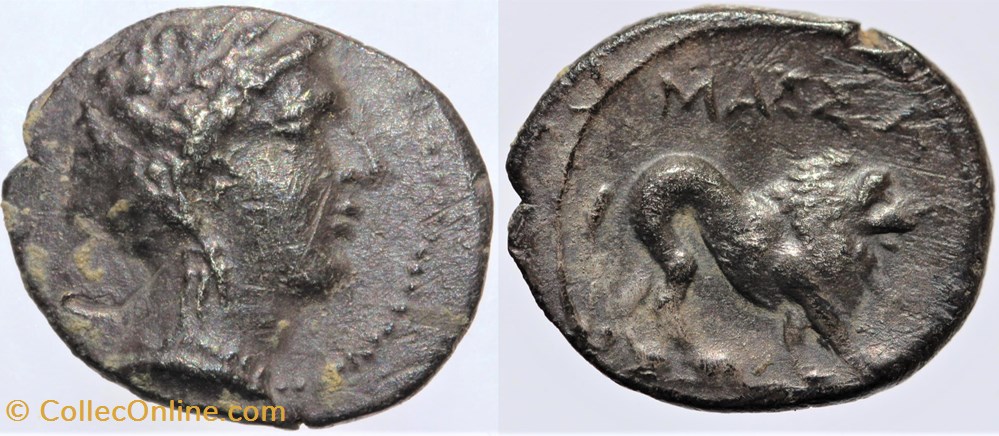 monnaies antiques av jc ap celtes massalia drachme legere au lion