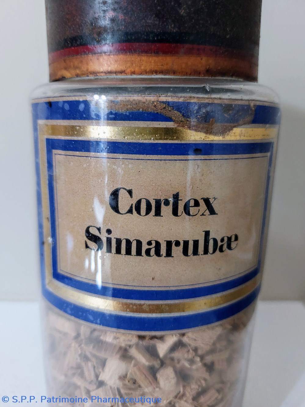 science pharmacie flacon herboristerie cortex simarubae