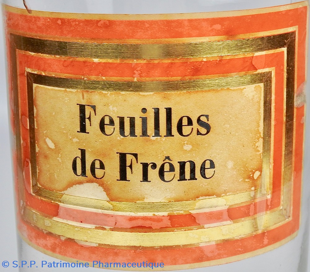 Flacon en verre Herboristerie très grand modèle Pharmacie RAVASSE 2 science flacon en verre herboristerie tres grand modele pharmacie ravasse