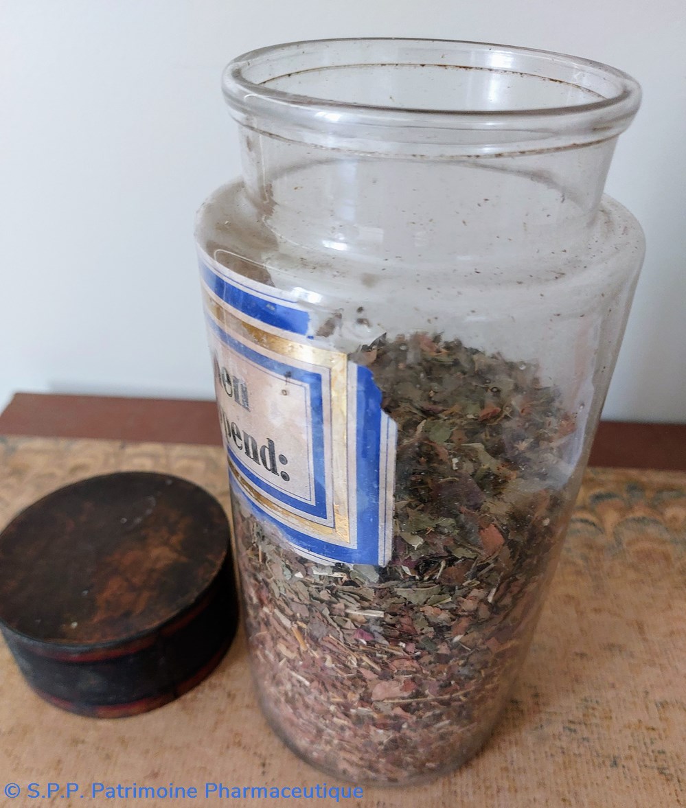 Pot de Pharmacie " Asplen Scolopend :" 5 science pot de pharmacie asplen scolopend