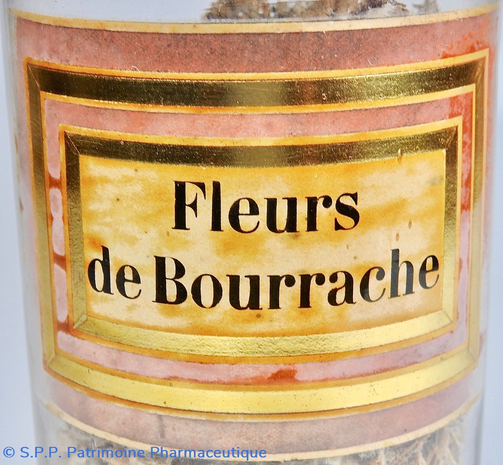 Flacon en verre Herboristerie grand modèle Pharmacie RAVASSE 2 science flacon en verre herboristerie grand modele pharmacie ravasse