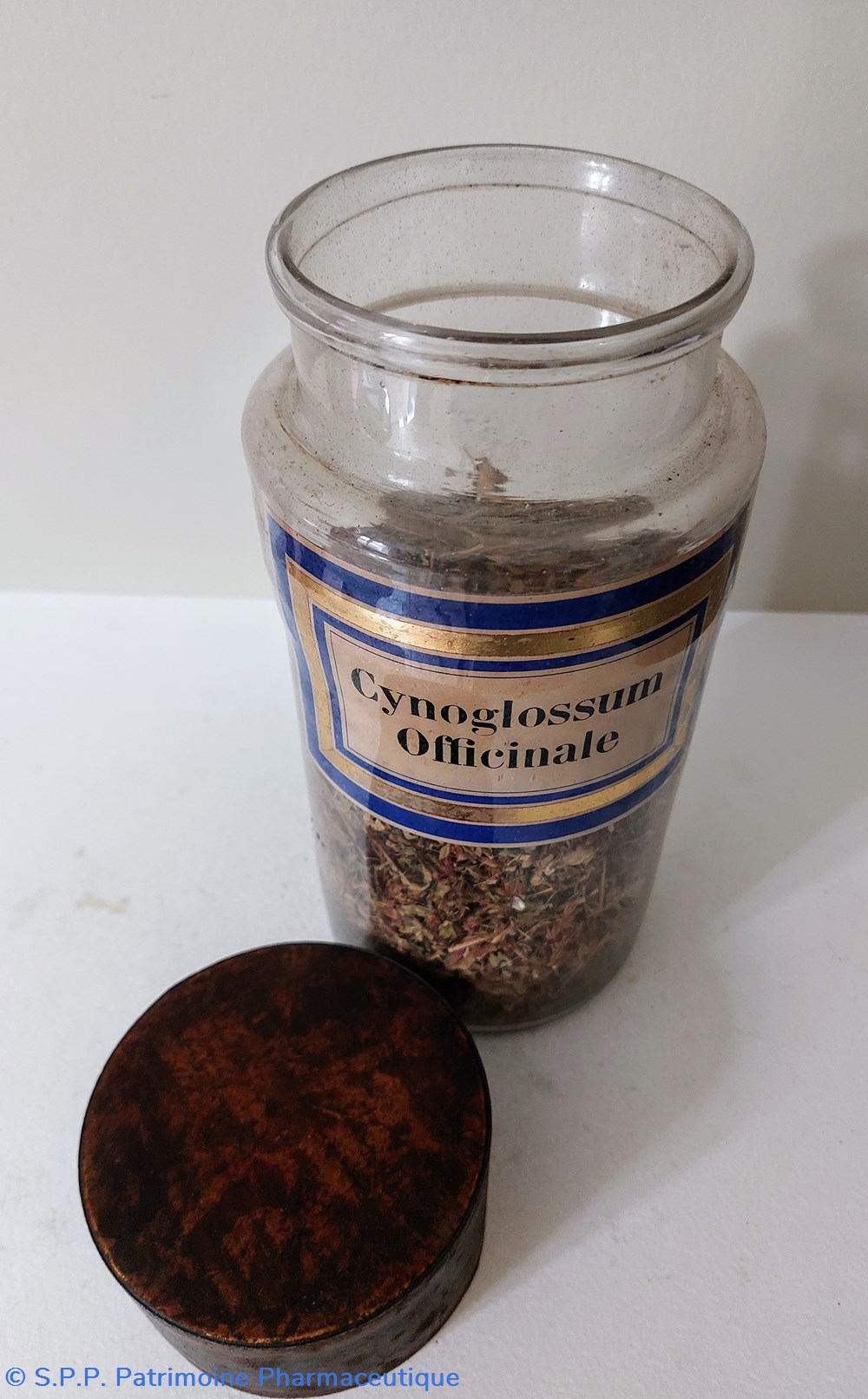 science pharmacie flacon herboristerie cynoglossum officinale