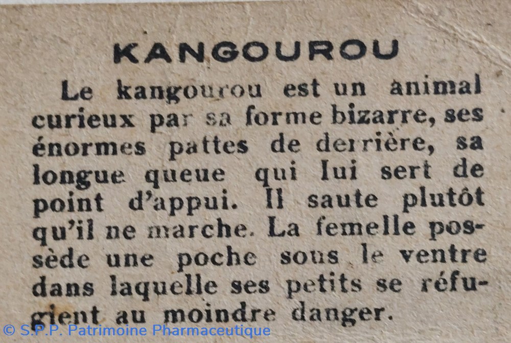 science pharmacie bon point jacquemaire le kangourou
