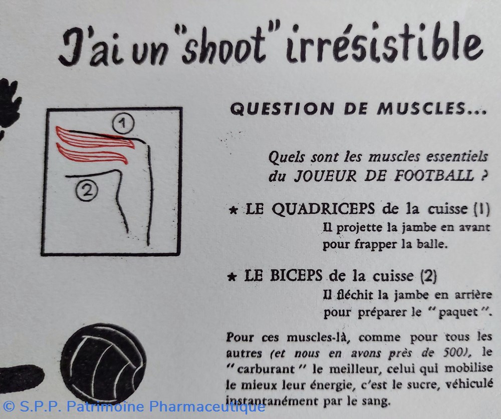 Le SUCRE Aliment du muscle - Série Muscles N° 4 ( Football ) 3 science pharmacie le sucre aliment du muscle serie muscles n 4 football