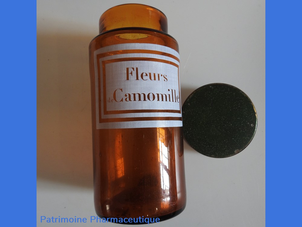 Fleurs de Camomillle 4 science pharmacie fleurs de camomillle