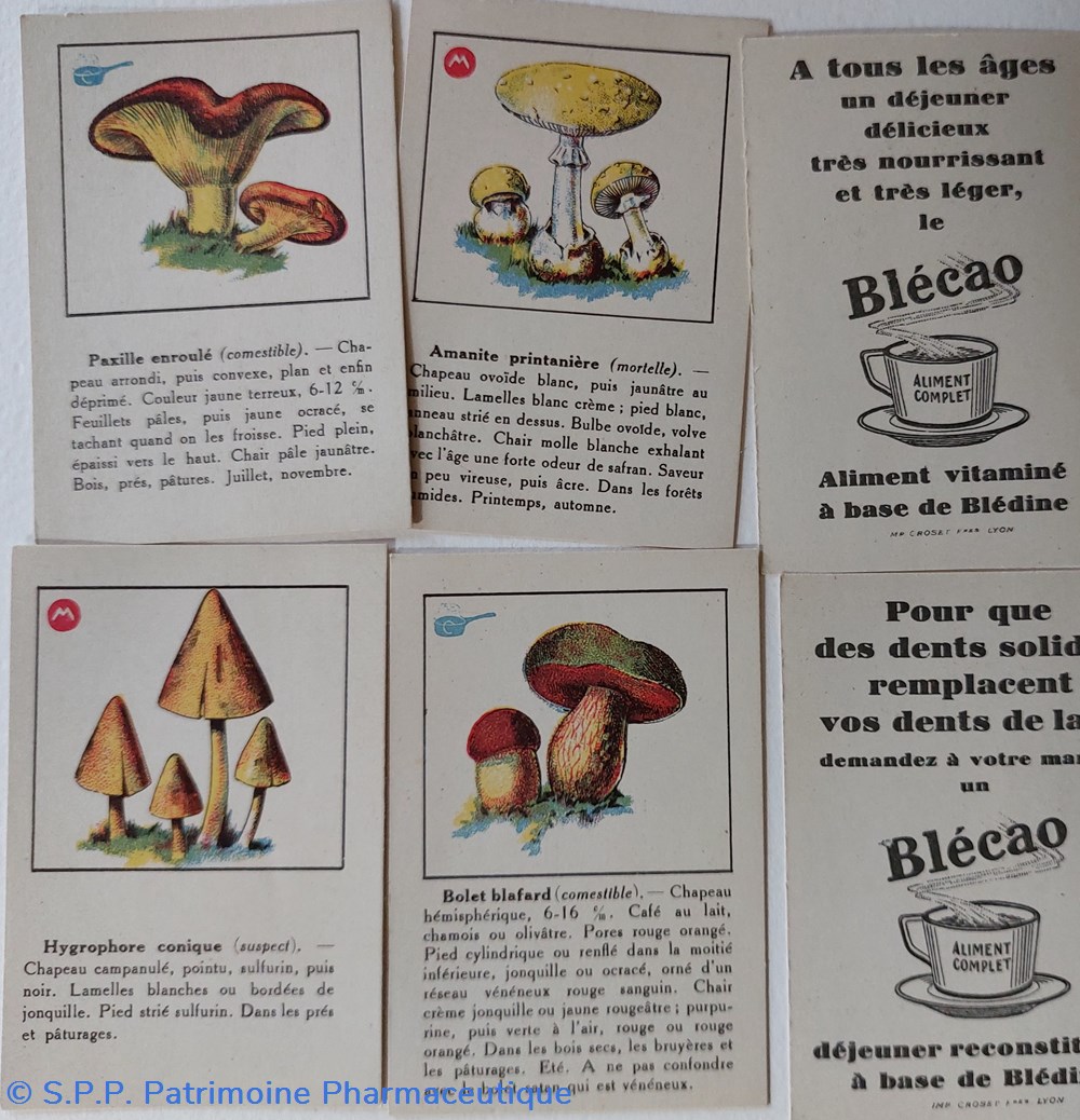 9 cartes champignons Blédine ou Blécao 2 objets publicitaires 9 cartes champignons bledine ou blecao