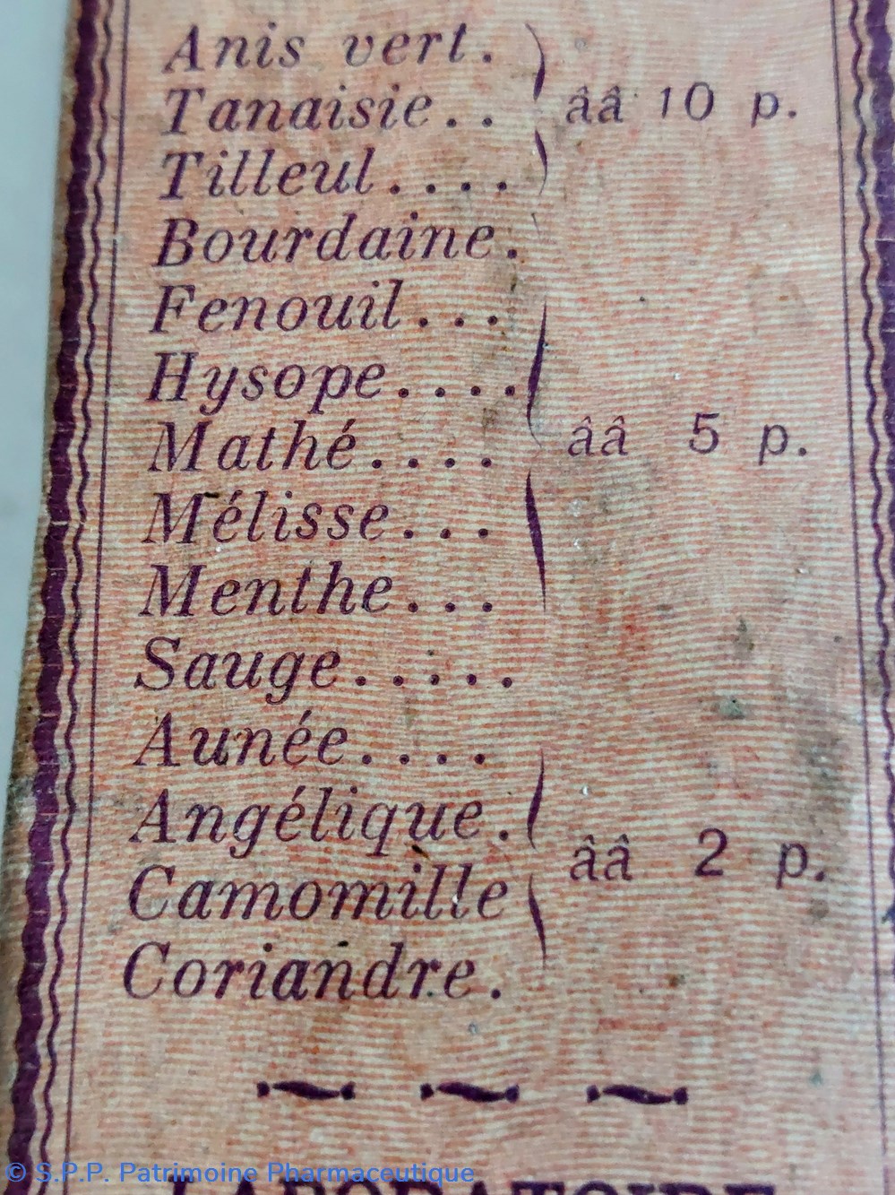 science pharmacie vegetal digestif infusion