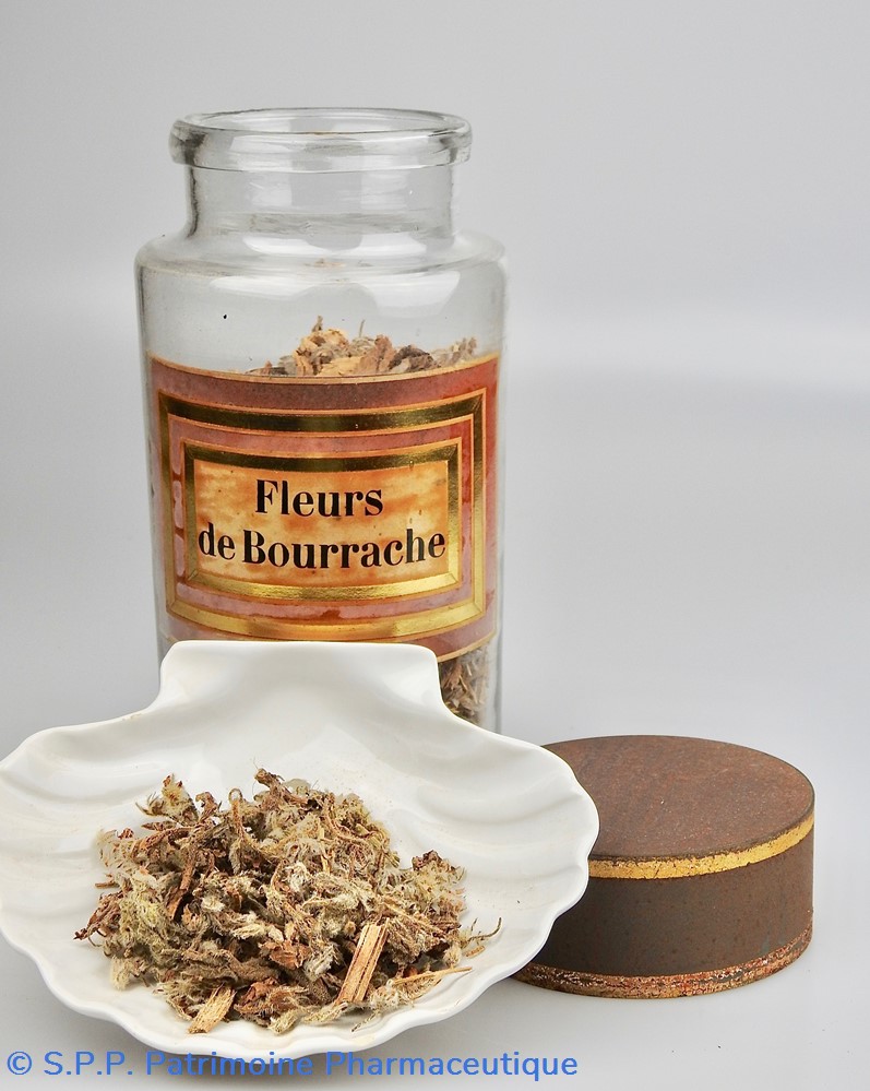 Flacon en verre Herboristerie grand modèle Pharmacie RAVASSE 5 science flacon en verre herboristerie grand modele pharmacie ravasse