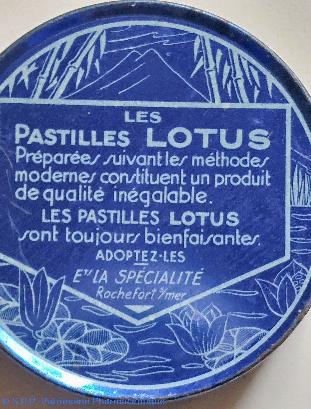 science pharmacie pastilles lotus au goudron de norvege