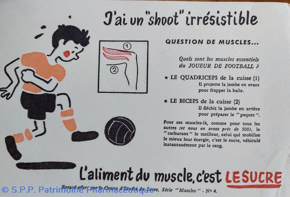 Le SUCRE Aliment du muscle - Série Muscles N° 4 ( Football ) 4 science pharmacie le sucre aliment du muscle serie muscles n 4 football