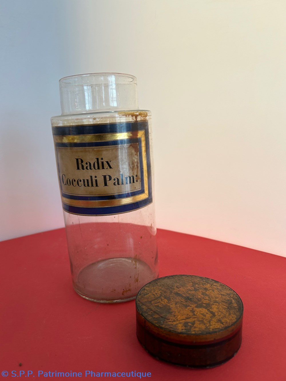 Radix Cocculi Palm: 3 science pharmacie radix cocculi palm