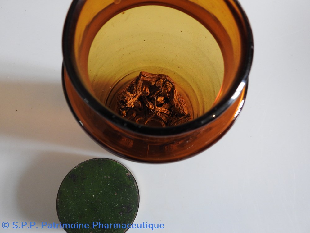 science pharmacie racine de gentiane