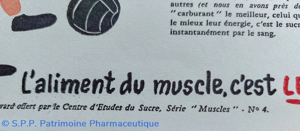Le SUCRE Aliment du muscle - Série Muscles N° 4 ( Football ) 2 science pharmacie le sucre aliment du muscle serie muscles n 4 football