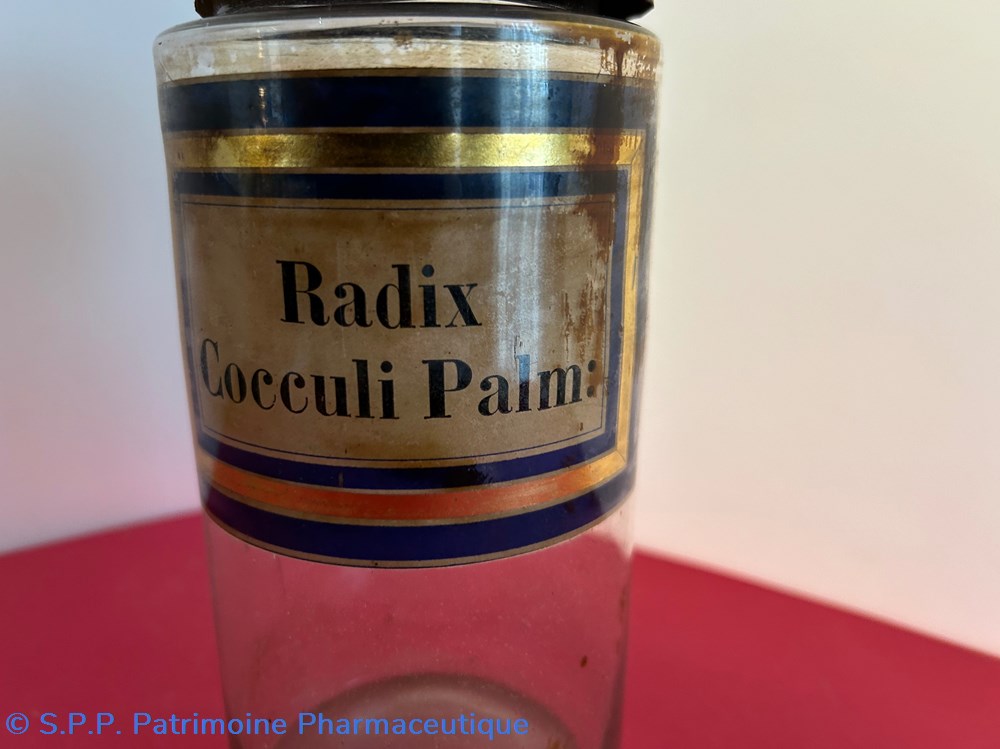 Radix Cocculi Palm: 2 science pharmacie radix cocculi palm