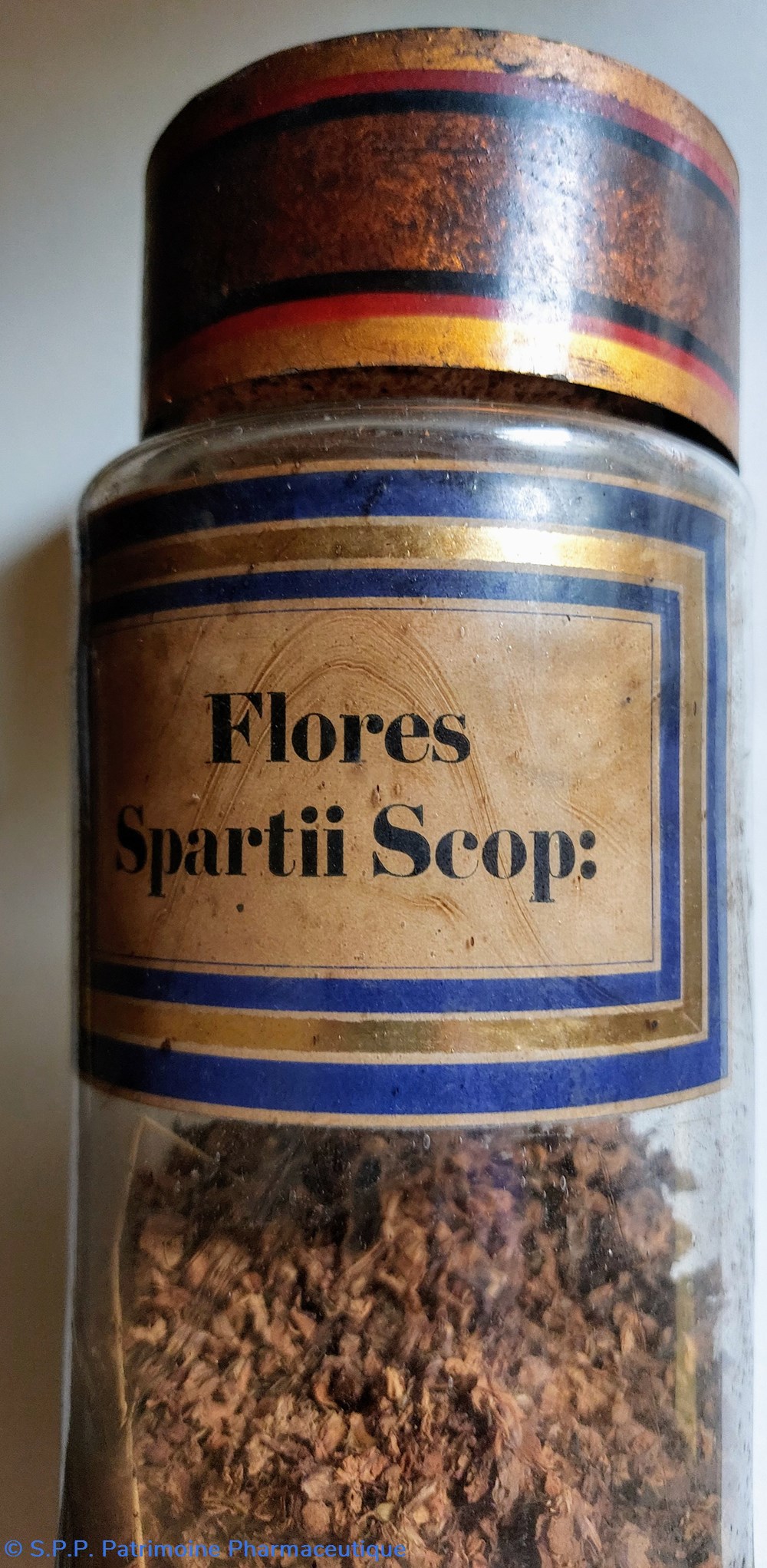 Flores Spartii Scop : Flacon en verre Herboristerie 5 science pharmacie flores spartii scop flacon en verre herboristerie