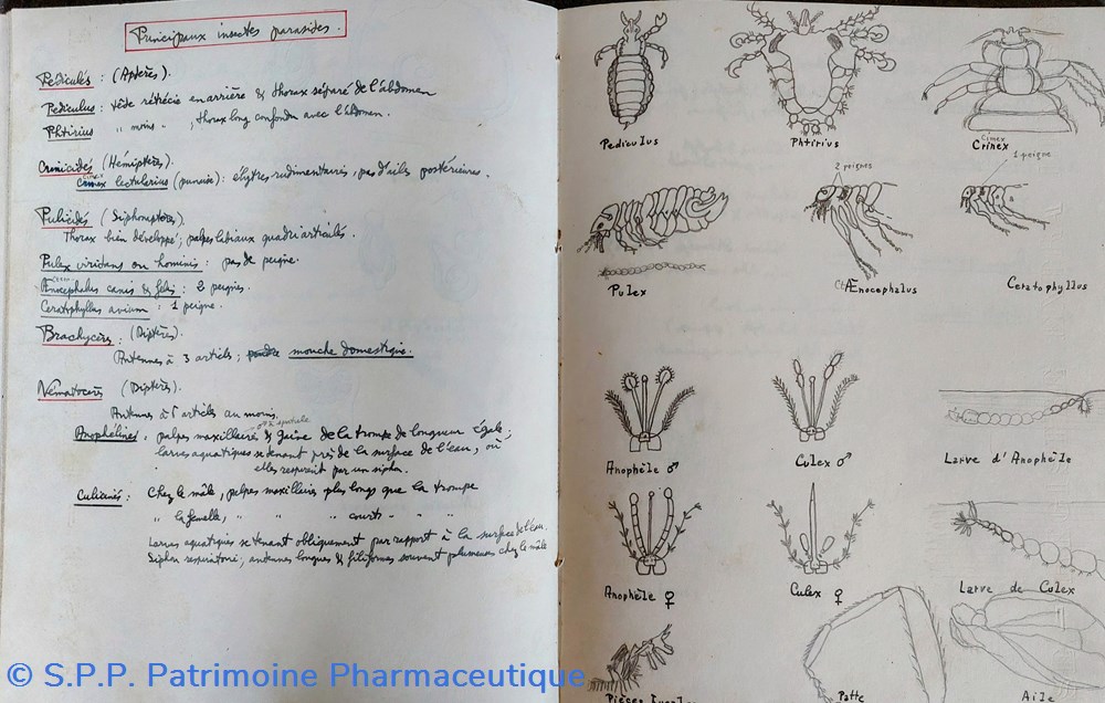 Cahier d'étudiant T. P. de micrographie 1940-41 5 documents anciens cahier etudiant t p de micrographie 1940 41