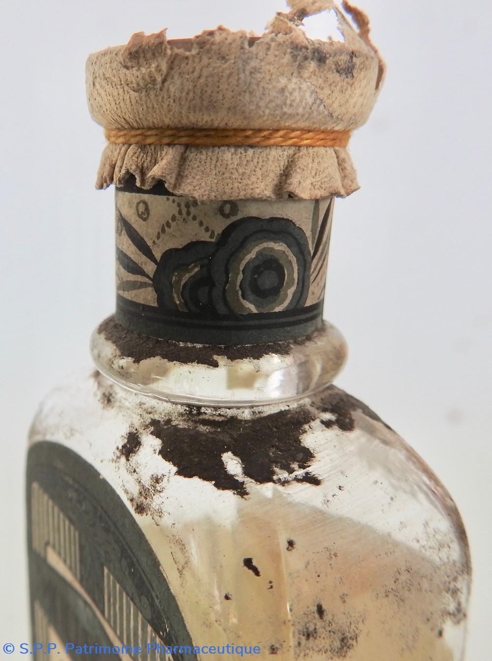 science pharmacie muscly