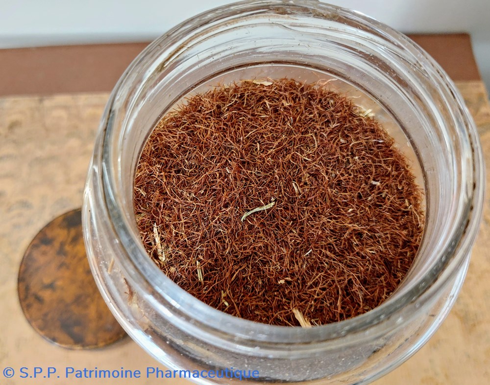 science pot de pharmacie radix rum patient