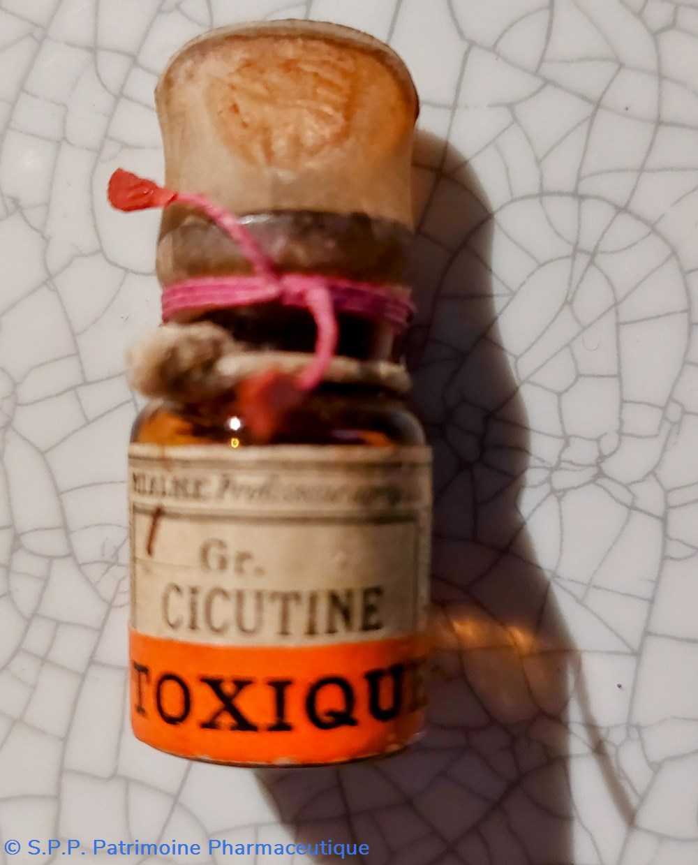 CICUTINE 1 Gr. (Liquide) science cicutine 1 gr liquide