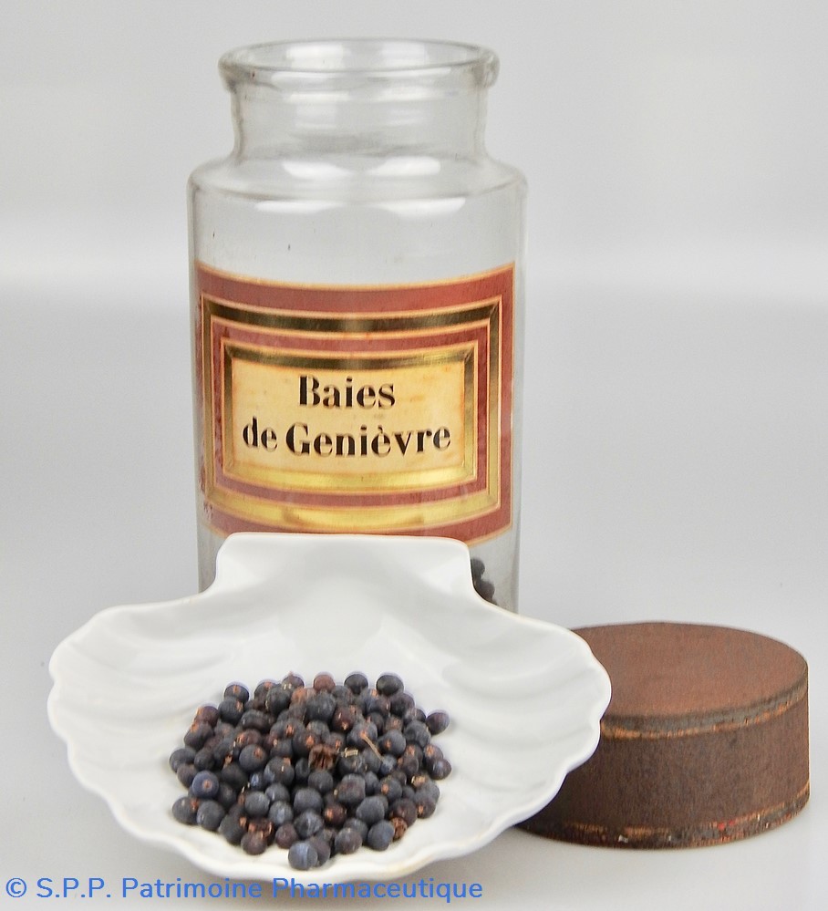science flacon en verre herboristerie grand modele pharmacie ravasse