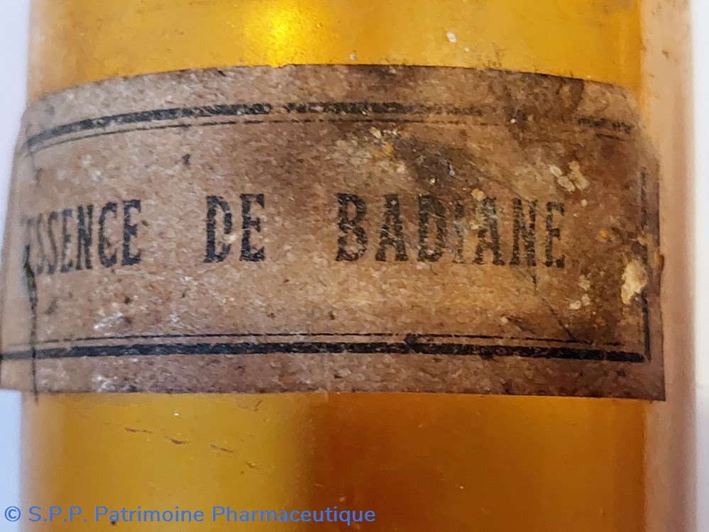 Essence de Badiane Bouteille 16cm 6 science pharmacie essence de badiane bouteille 16cm