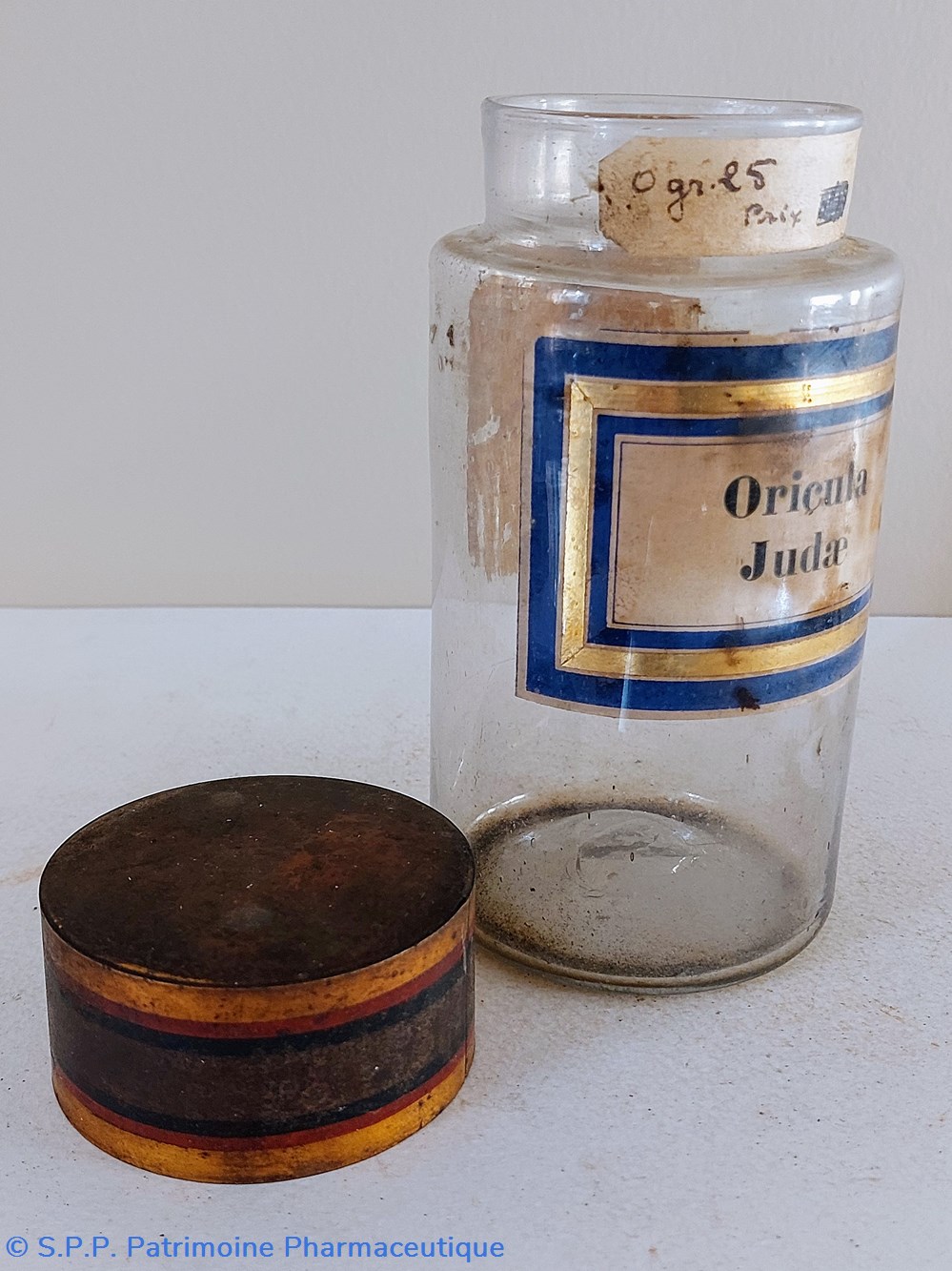 science pharmacie oricula judae