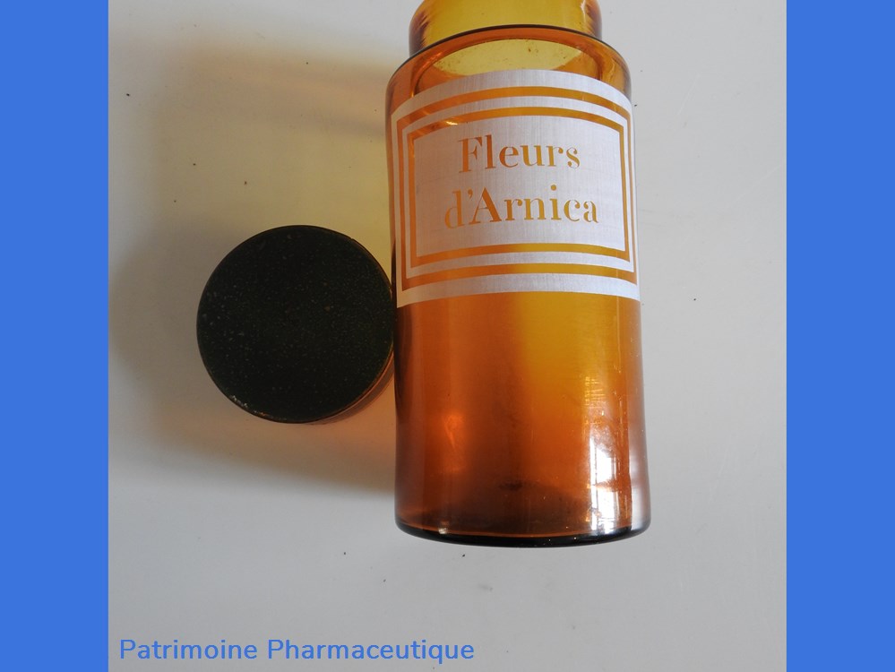 Fleurs d'ARNICA 5 science pharmacie fleurs arnica