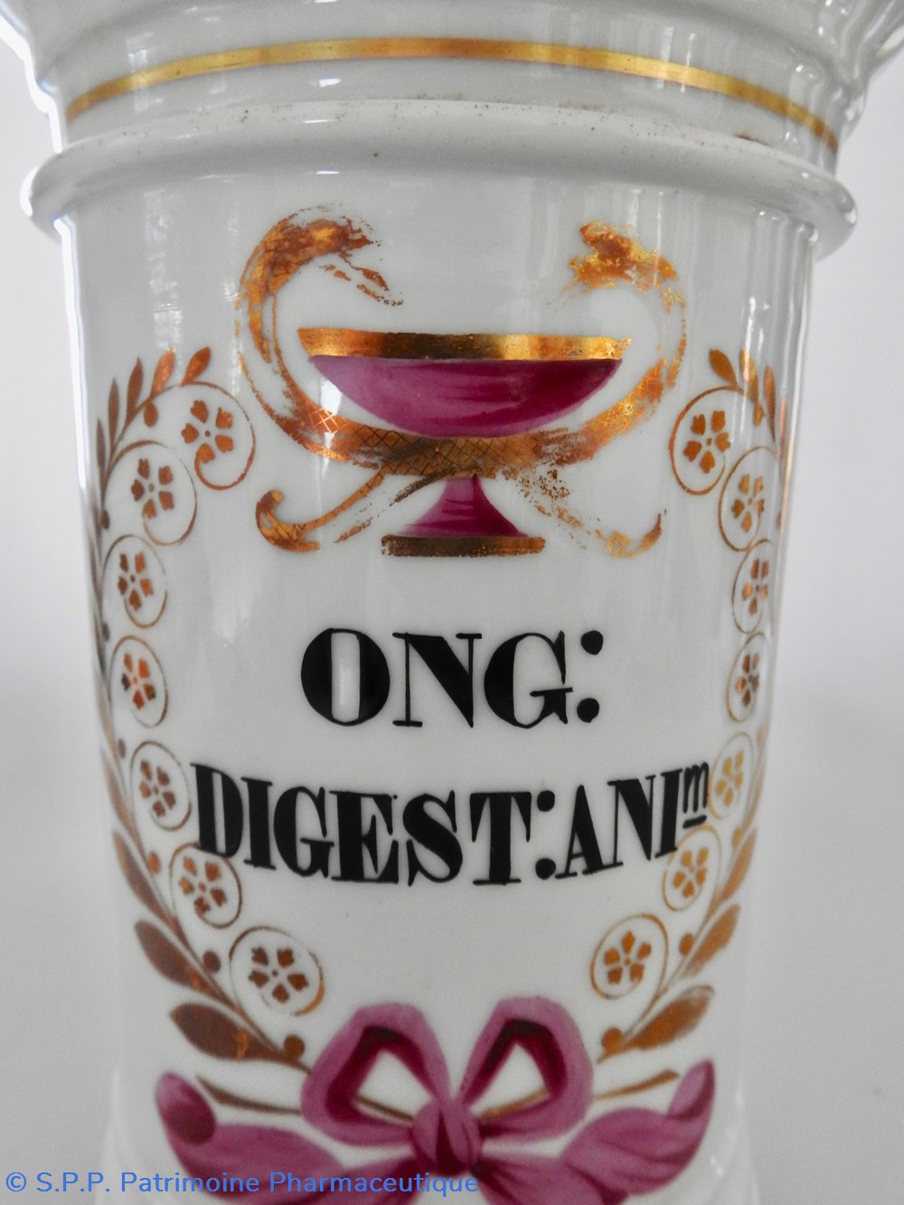 ONG : DIGEST : ANIm 4 science pharmacie ong digest anim