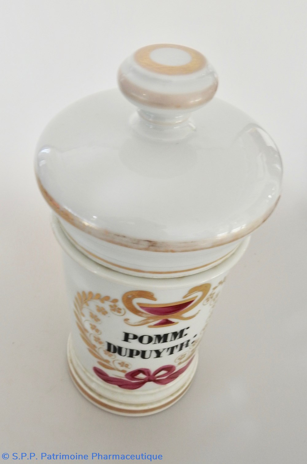 science pharmacie pomm dupuytr