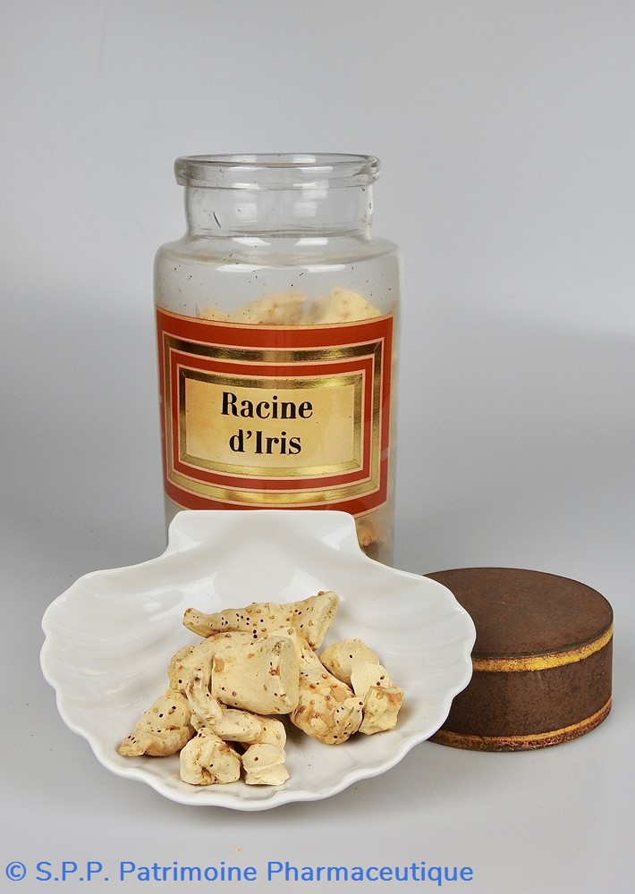 Flacon en verre Herboristerie grand modèle Pharmacie RAVASSE 5 science flacon en verre herboristerie grand modele pharmacie ravasse