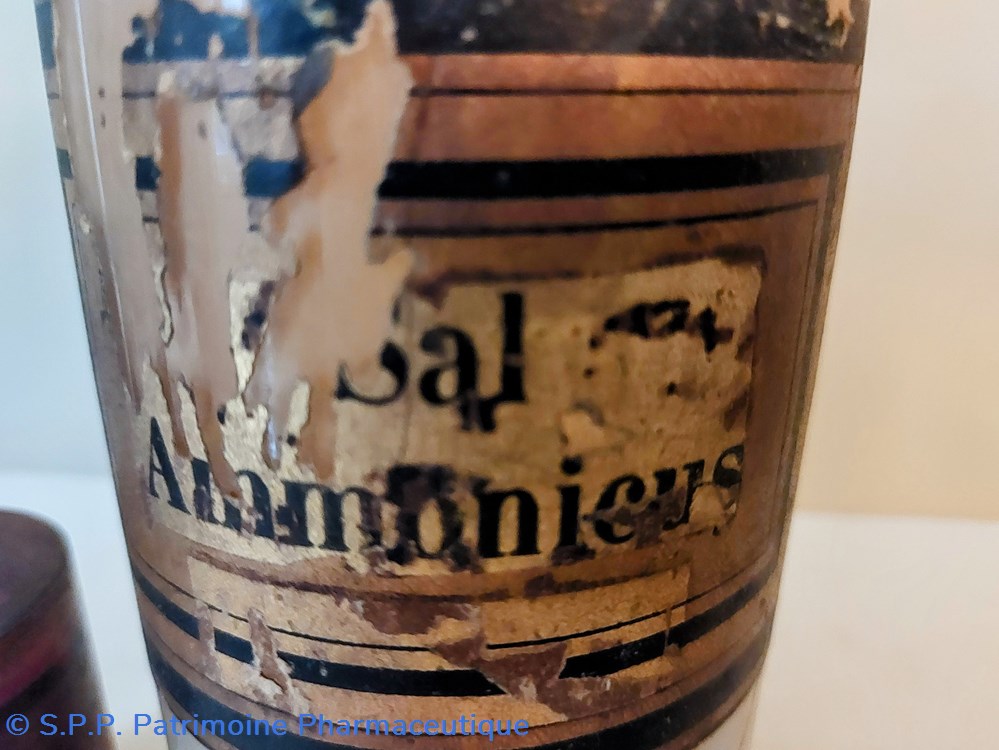 science pharmacie sal ammonicus