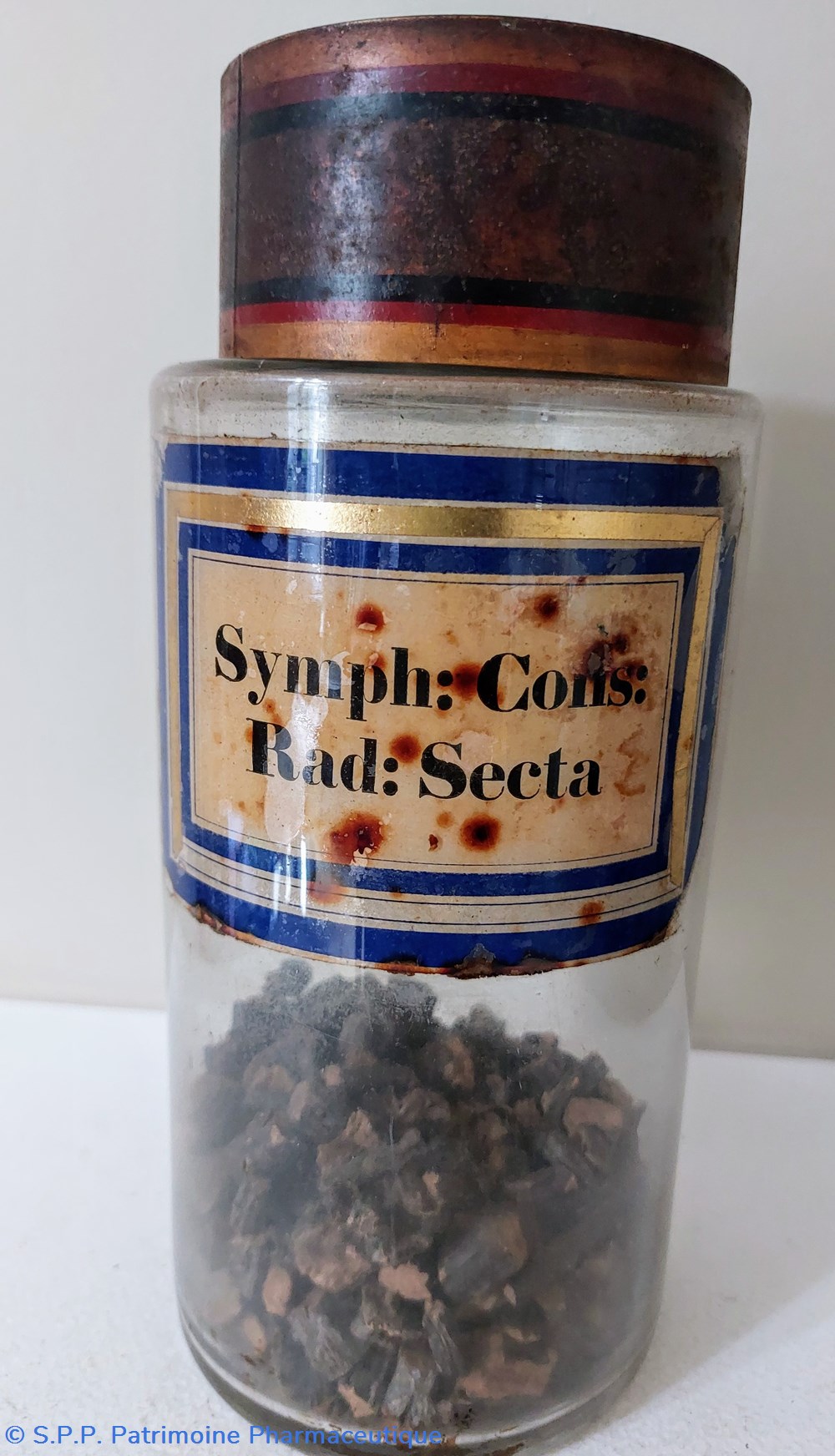 Flacon Herboristerie " Symph: Cons : Rad: Secta" science pharmacie flacon herboristerie symph cons rad secta
